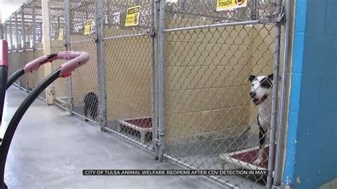 City of tulsa animal welfare - Tulsa Animal Welfare (TAW) will close its doors starting tomorrow for a minimum of 21 days due to positive cases of canine influenza that were discovered today. A reopening date will be dependent on which dogs show symptoms and when. All intakes and adoptions will stop during this time. Only emergency animal control and bite case …